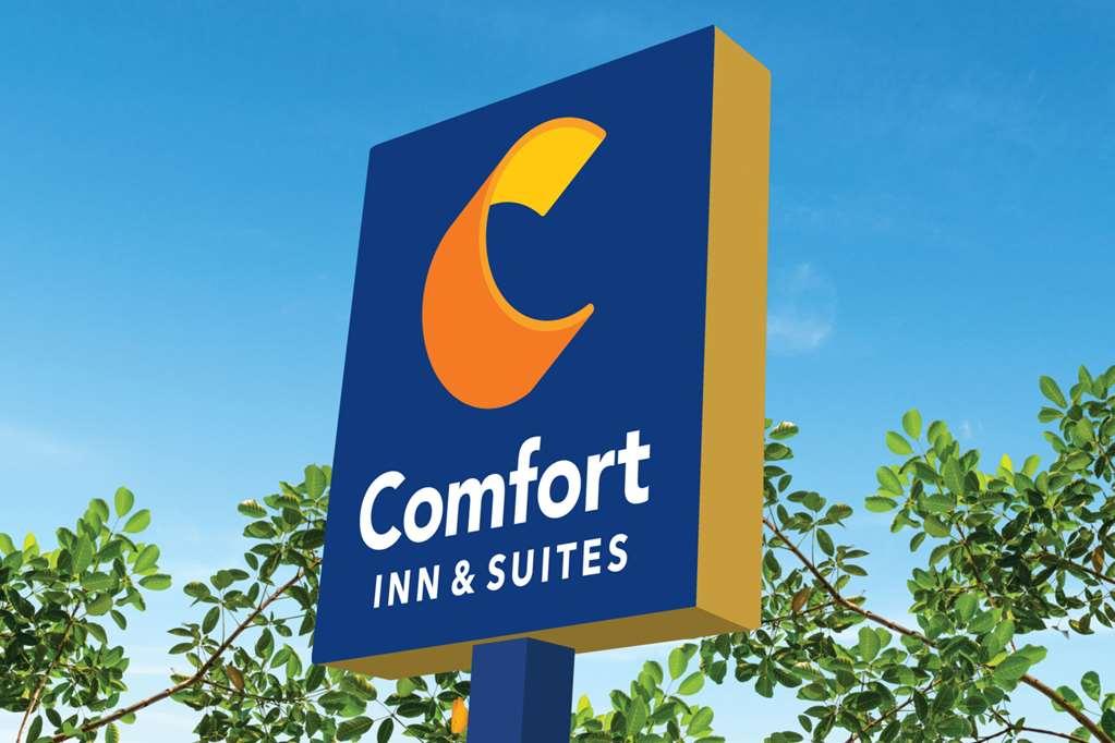 Comfort Inn & Suites Carrollton Extérieur photo